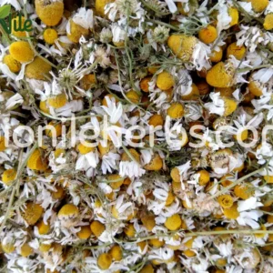 Chamomile