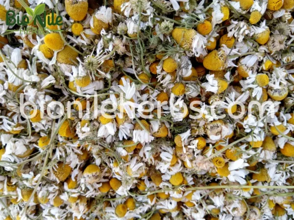 Chamomile